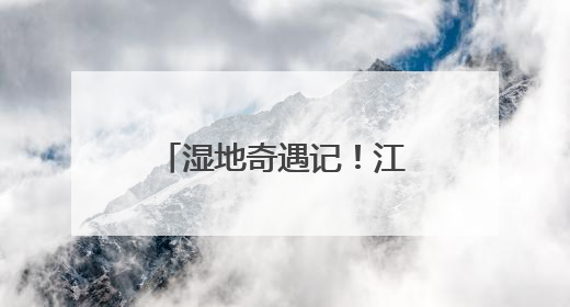 湿地奇遇记！江苏中行把金融知识“种”进公园里