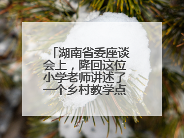 湖南省委座谈会上，隆回这位小学老师讲述了一个乡村教学点的温暖故事