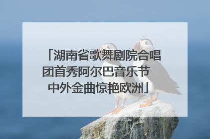 湖南省歌舞剧院合唱团首秀阿尔巴音乐节 中外金曲惊艳欧洲