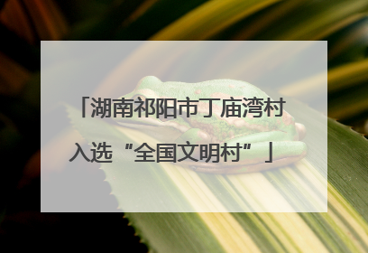 湖南祁阳市丁庙湾村入选“全国文明村”