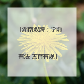 湖南双牌：学前有法 善育有规