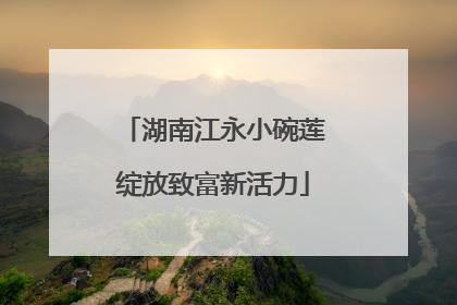 湖南江永小碗莲绽放致富新活力