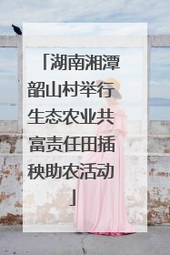 湖南湘潭韶山村举行生态农业共富责任田插秧助农活动