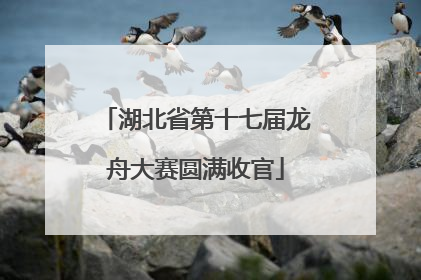 湖北省第十七届龙舟大赛圆满收官