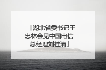 湖北省委书记王忠林会见中国电信总经理刘桂清