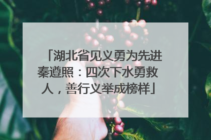 湖北省见义勇为先进秦遵照：四次下水勇救人，善行义举成榜样