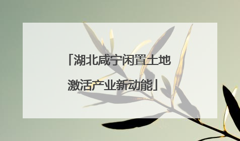 湖北咸宁闲置土地激活产业新动能