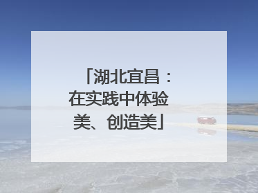 湖北宜昌：在实践中体验美、创造美