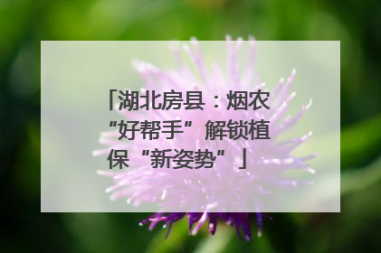 湖北房县：烟农“好帮手”解锁植保“新姿势”