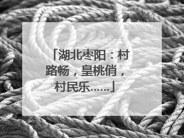 湖北枣阳：村路畅，皇桃俏，村民乐……
