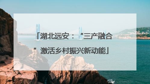 湖北远安：“三产融合”激活乡村振兴新动能