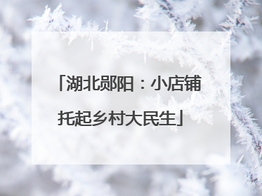 湖北郧阳：小店铺托起乡村大民生