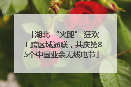 湖北 “火腿” 狂欢！跨区域通联，共庆第85个中国业余无线电节