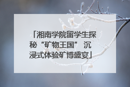 湘南学院留学生探秘“矿物王国” 沉浸式体验矿博盛宴