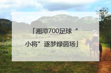 湘潭700足球“小将”逐梦绿茵场