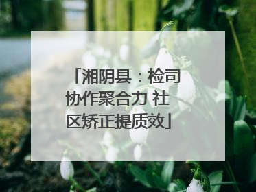 湘阴县：检司协作聚合力 社区矫正提质效