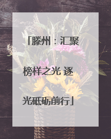 滕州：汇聚榜样之光 逐光砥砺前行