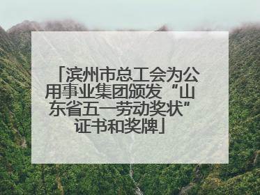 滨州市总工会为公用事业集团颁发“山东省五一劳动奖状”证书和奖牌
