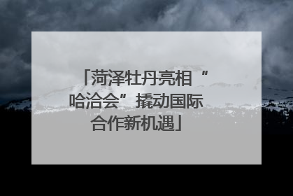 菏泽牡丹亮相“哈洽会”撬动国际合作新机遇