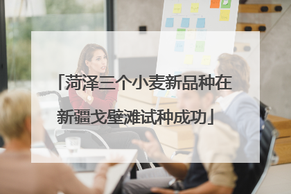 菏泽三个小麦新品种在新疆戈壁滩试种成功