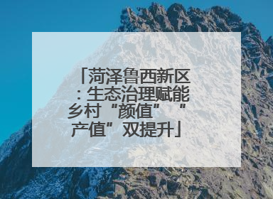菏泽鲁西新区：生态治理赋能乡村“颜值”“产值”双提升