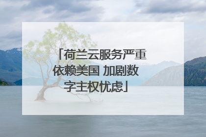 荷兰云服务严重依赖美国 加剧数字主权忧虑