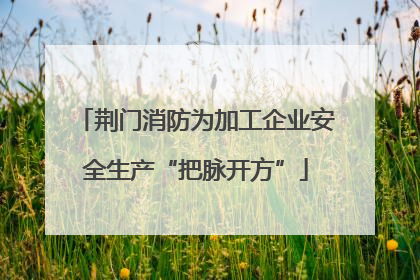 荆门消防为加工企业安全生产“把脉开方”
