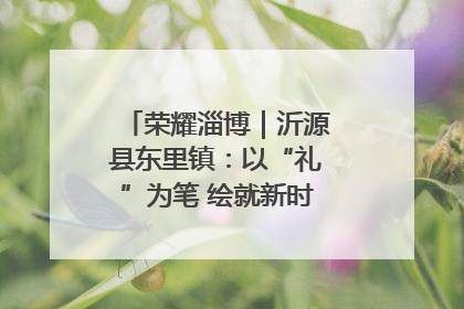 荣耀淄博｜沂源县东里镇：以“礼”为笔 绘就新时代乡风文明画卷