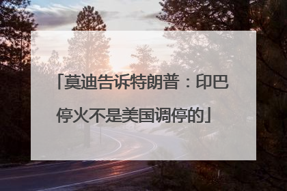 莫迪告诉特朗普：印巴停火不是美国调停的