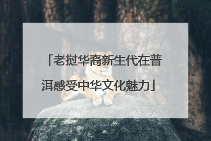 老挝华裔新生代在普洱感受中华文化魅力