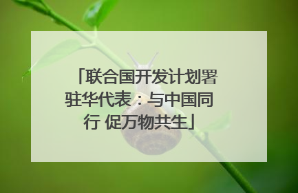 联合国开发计划署驻华代表：与中国同行 促万物共生