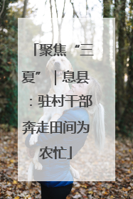 聚焦“三夏”｜息县：驻村干部奔走田间为农忙