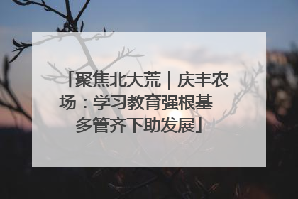 聚焦北大荒｜庆丰农场：学习教育强根基 多管齐下助发展