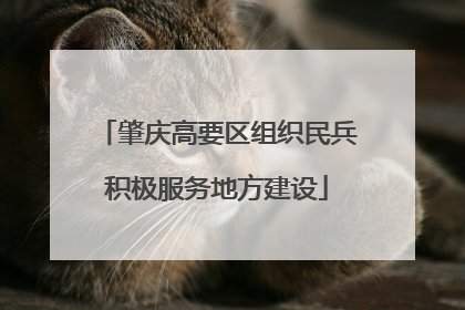 肇庆高要区组织民兵积极服务地方建设