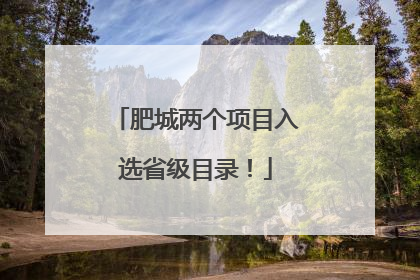 肥城两个项目入选省级目录！