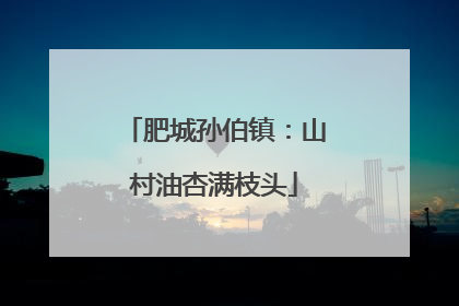 肥城孙伯镇：山村油杏满枝头