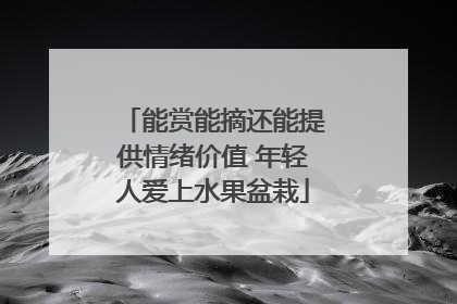 能赏能摘还能提供情绪价值 年轻人爱上水果盆栽