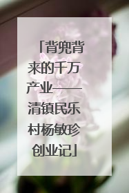 背兜背来的千万产业——清镇民乐村杨敏珍创业记