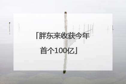 胖东来收获今年首个100亿