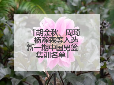 胡金秋、周琦、杨瀚森等入选新一期中国男篮集训名单
