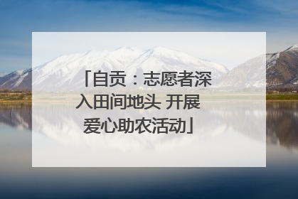 自贡：志愿者深入田间地头 开展爱心助农活动