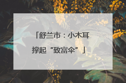 舒兰市：小木耳撑起“致富伞”