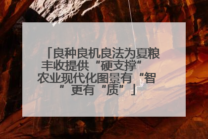 良种良机良法为夏粮丰收提供“硬支撑” 农业现代化图景有“智”更有“质”
