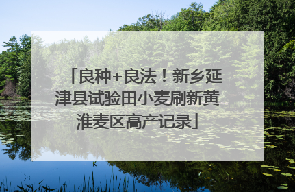 良种+良法！新乡延津县试验田小麦刷新黄淮麦区高产记录