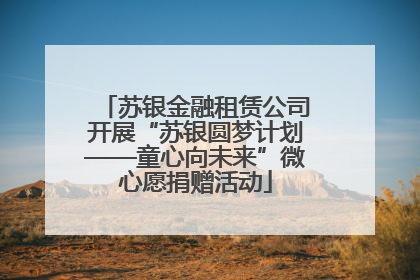 苏银金融租赁公司开展“苏银圆梦计划——童心向未来”微心愿捐赠活动