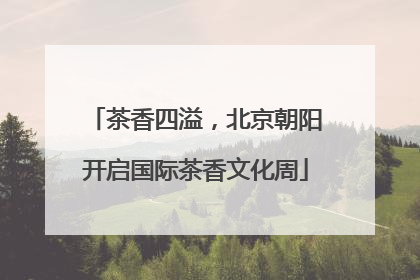 茶香四溢，北京朝阳开启国际茶香文化周