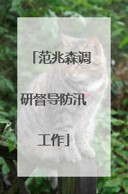 范兆森调研督导防汛工作