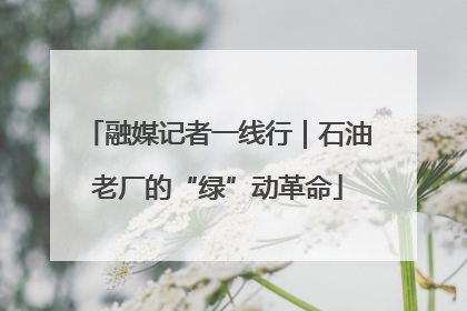 融媒记者一线行｜石油老厂的“绿”动革命