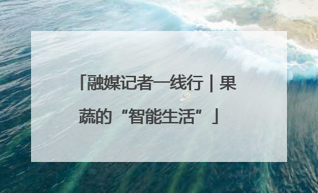 融媒记者一线行｜果蔬的“智能生活”