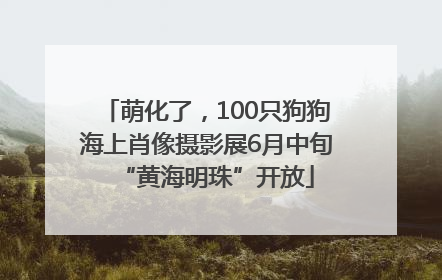 萌化了，100只狗狗海上肖像摄影展6月中旬“黄海明珠”开放